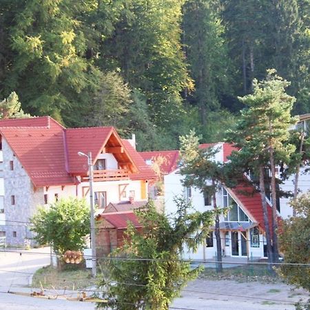 Pension Green Park Braşov Exterior foto