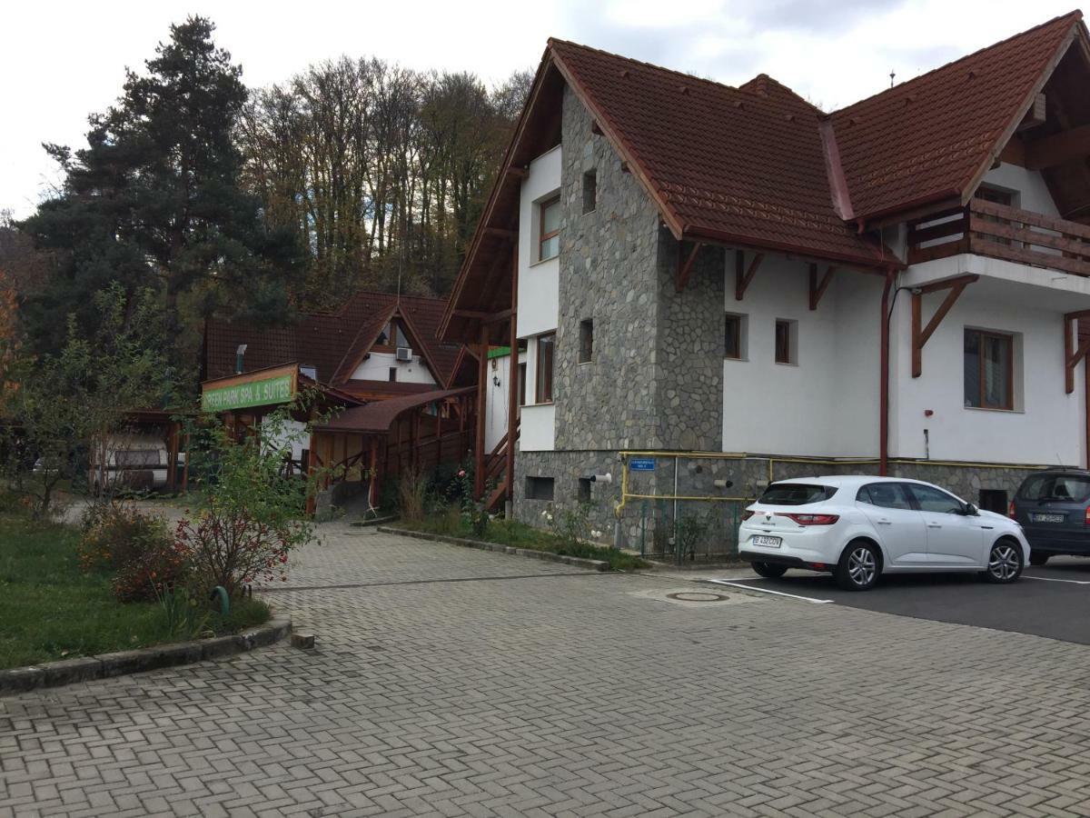 Pension Green Park Braşov Exterior foto