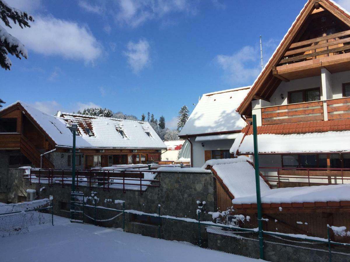 Pension Green Park Braşov Exterior foto